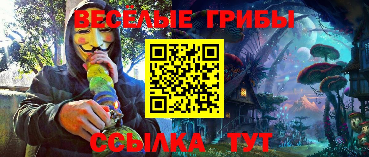 Домодедово  Псилоцибиновые грибы GOLDEN TEACHER  Вход с VPN 
