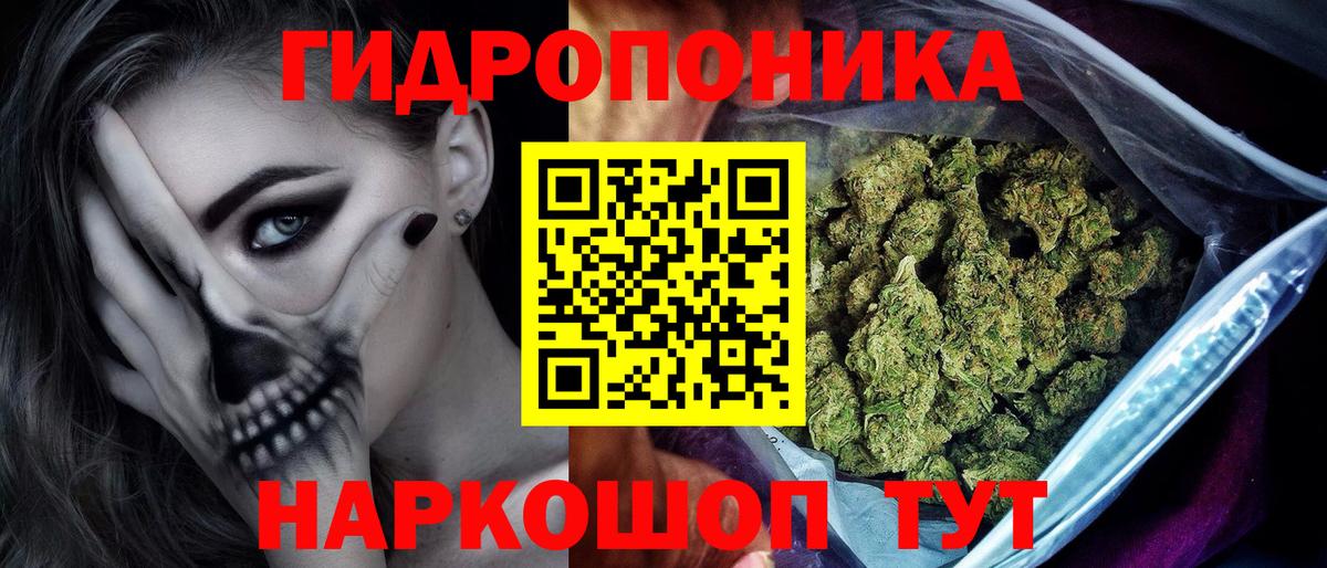 Канабис план Домодедово